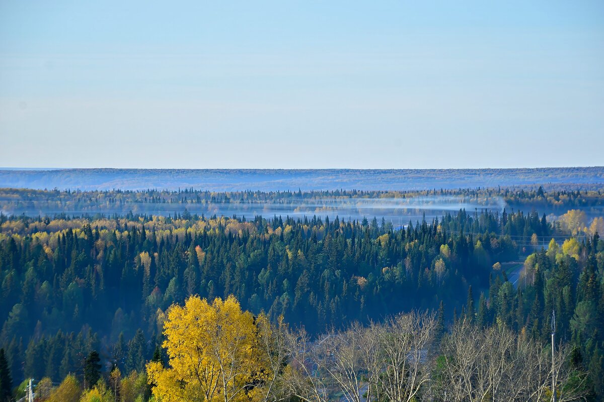 - - Владимир Мигонькин - - Владимир Мигонькин