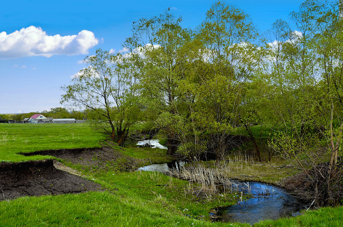 Ручей - Анатолий Уткин