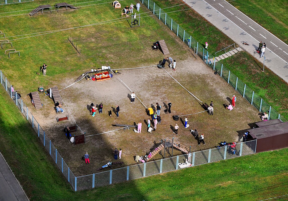 Собачья ярмарка тщеславия,,,) - Анатолий Колосов Собачья ярмарка тщеславия,,,) - Анатолий Колосов
