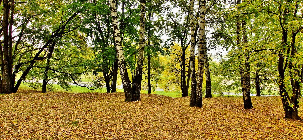 КОЛОМЕНСКОЕ - АЛЕКСАНДР 