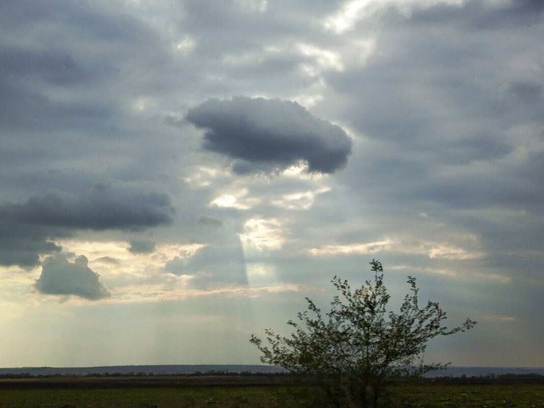 Осенний сюжет - Татьяна Пальчикова