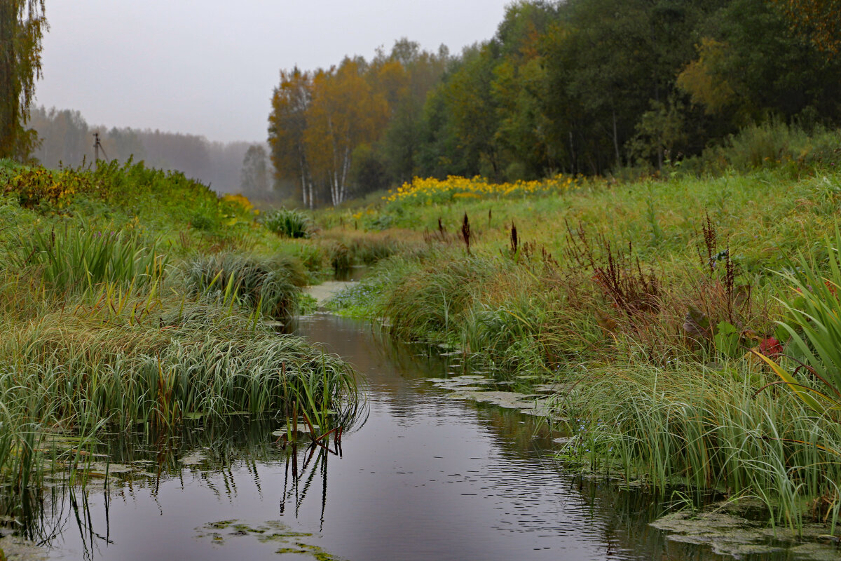 Осень - краснов юрий Осень - краснов юрий