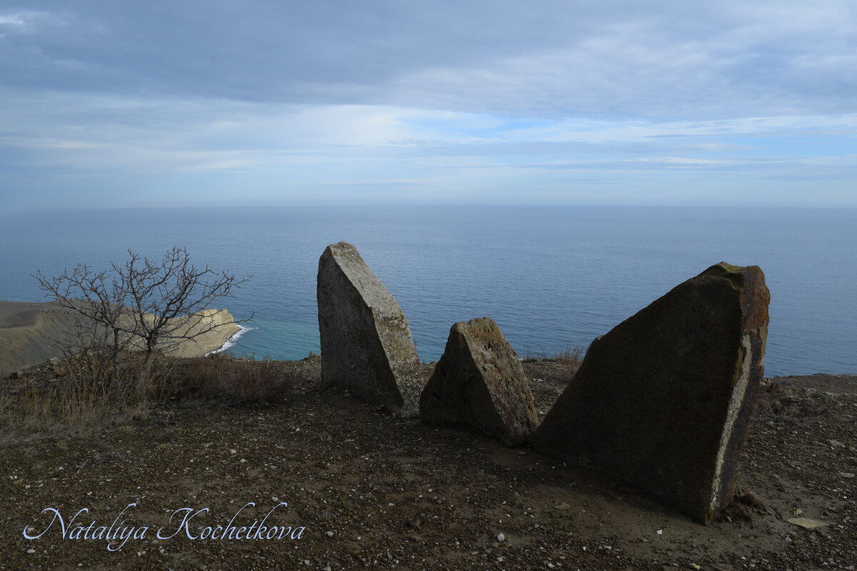Природа Крыма - Amazing Cosmea