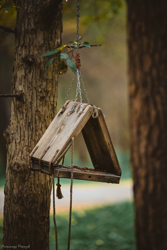 Кормушка - Александр Морозов