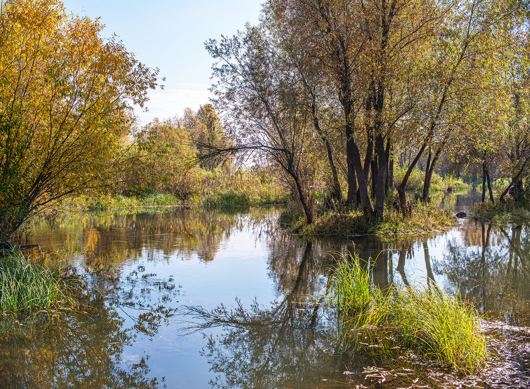 Осень - Михаил Измайлов