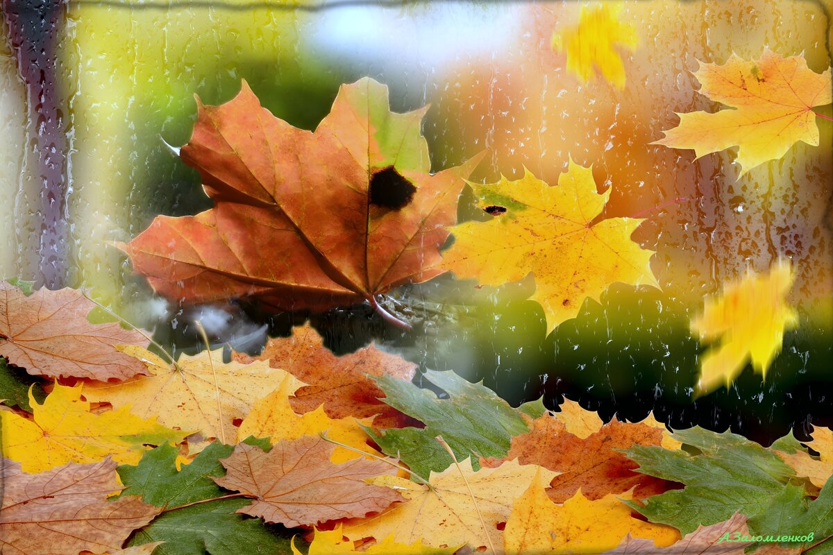 С Днём осеннего равноденствия! - Андрей Заломленков