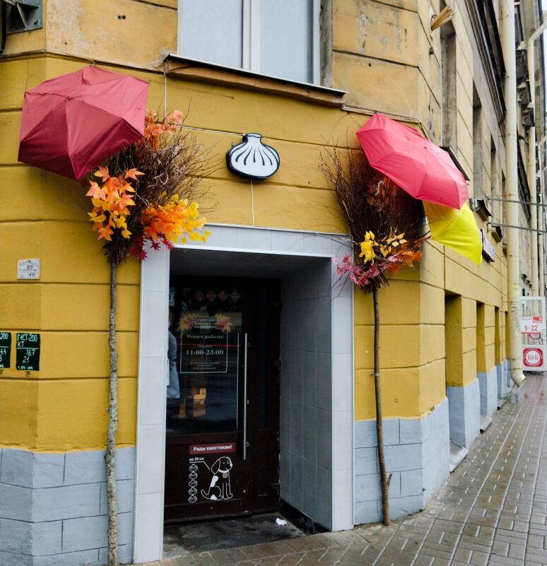 Питер без зонтиков никак) - Галина Бобкина