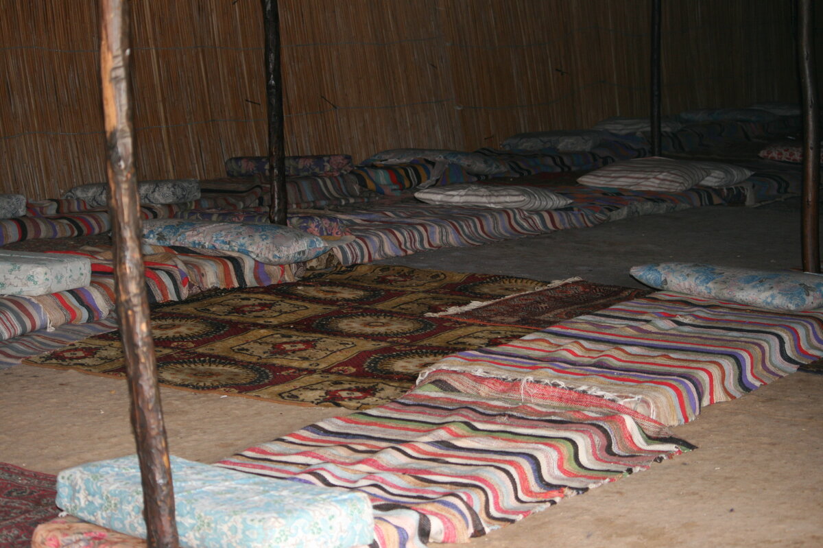 Шатер Бедуина - Аркадий Басович