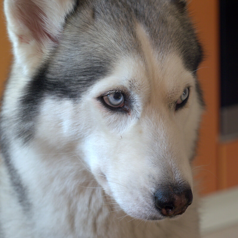 Немножко обиделась - Сергей Михальченко