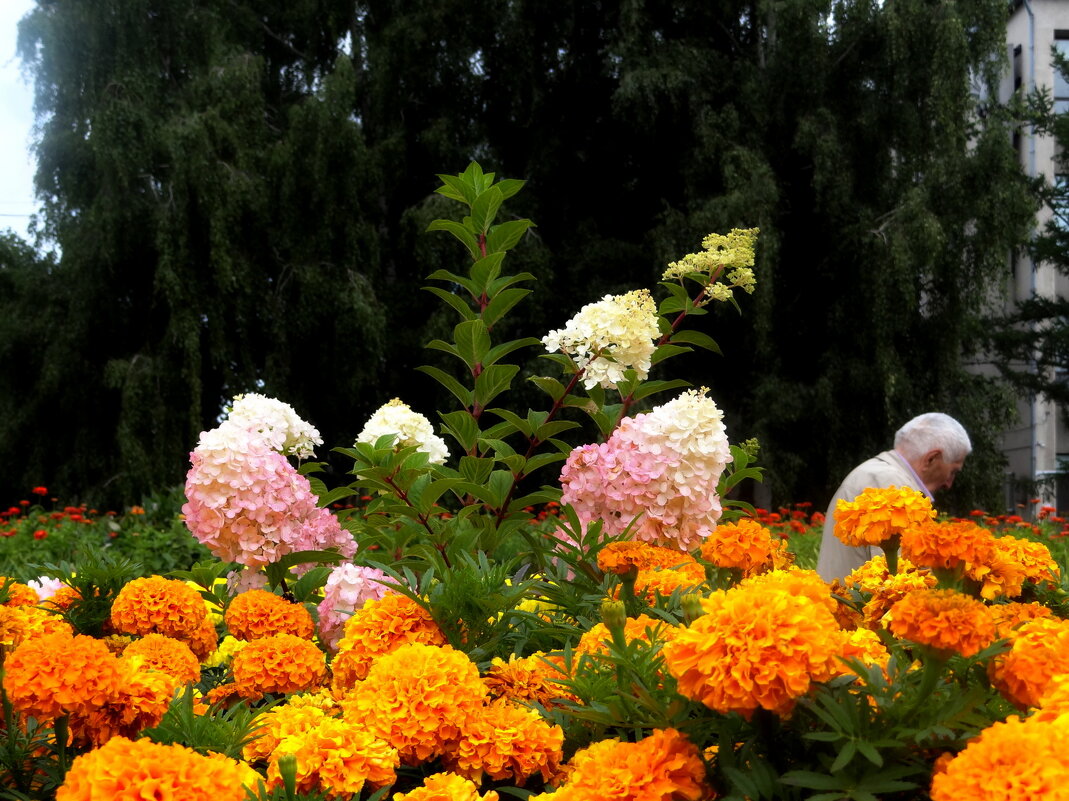 In Style of Takeshi Kitano - Maria Rainer