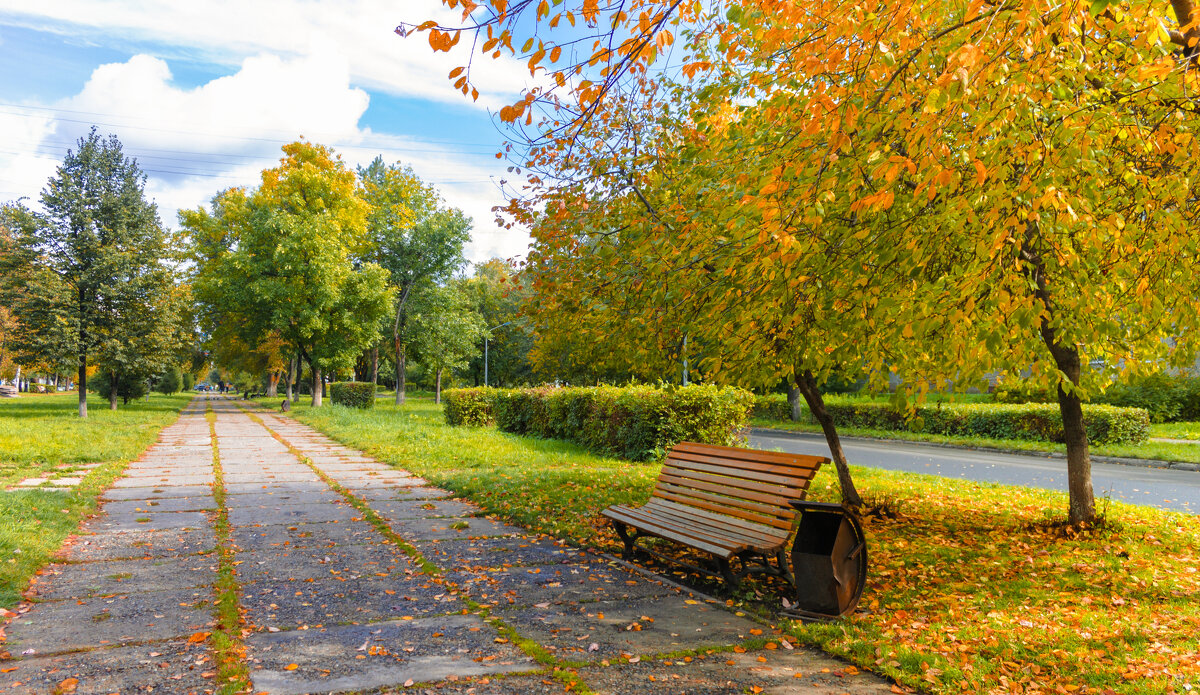 *** - Николай Чекалин *** - Николай Чекалин