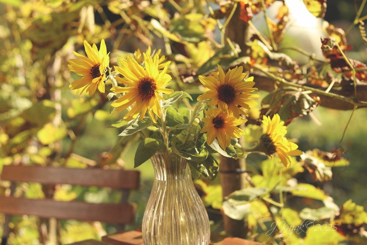 *** - Елена Kазак (selena1965) *** - Елена Kазак (selena1965)