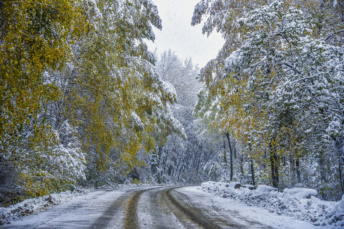 Мокрый снег. - юрий Амосов