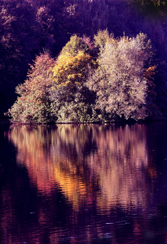 Царицыно утром 22 сентября - Михаил Бибичков