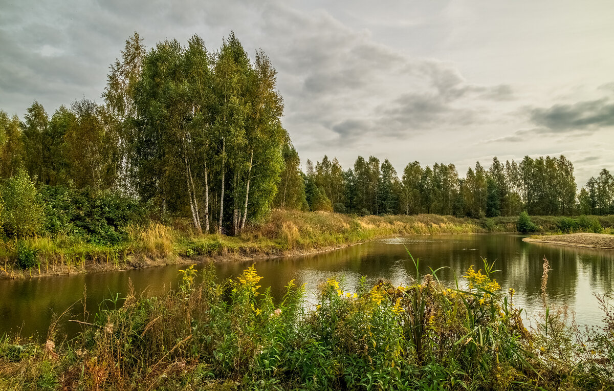 Цвет осени 4 - Андрей Дворников