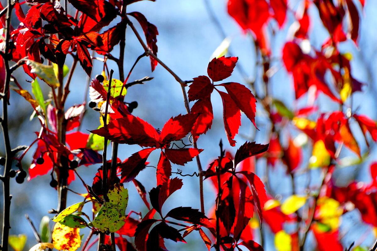 Из сегодняшней съёмки 7 - Александр Прокудин Из сегодняшней съёмки 7 - Александр Прокудин