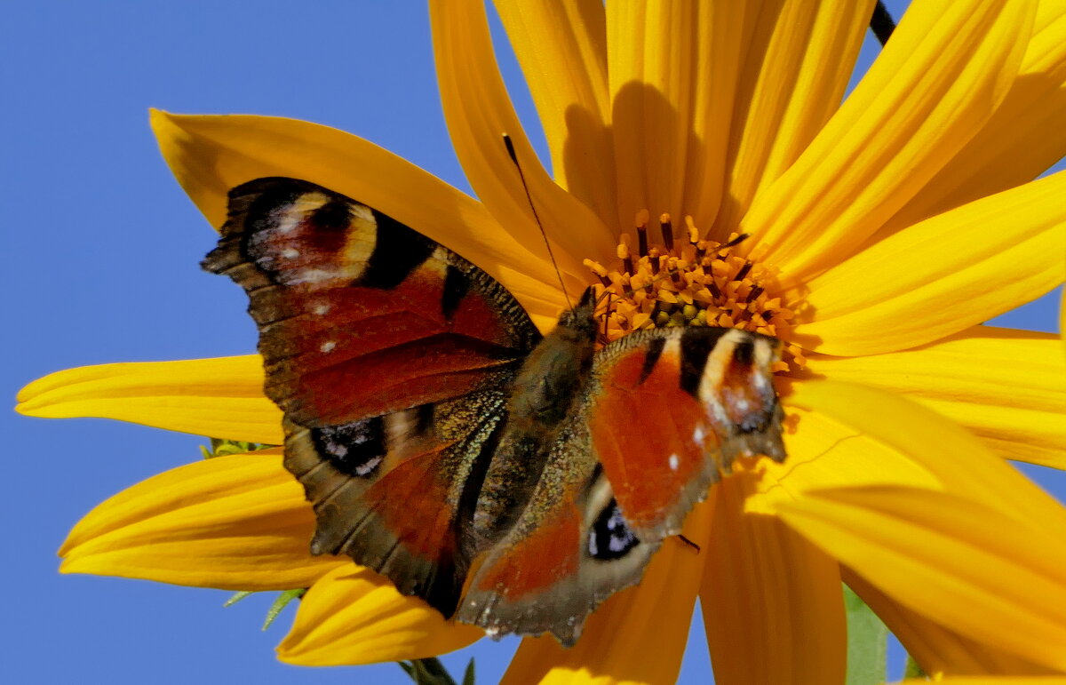 Из сегодняшней съёмки 10 - Александр Прокудин