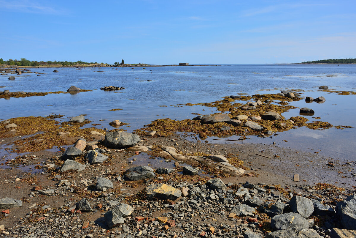 ** - Александр Хаецкий