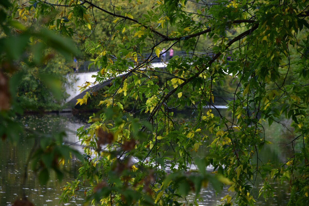 Мостик на районе Измайлово - Мария Яковлева Мостик на районе Измайлово - Мария Яковлева