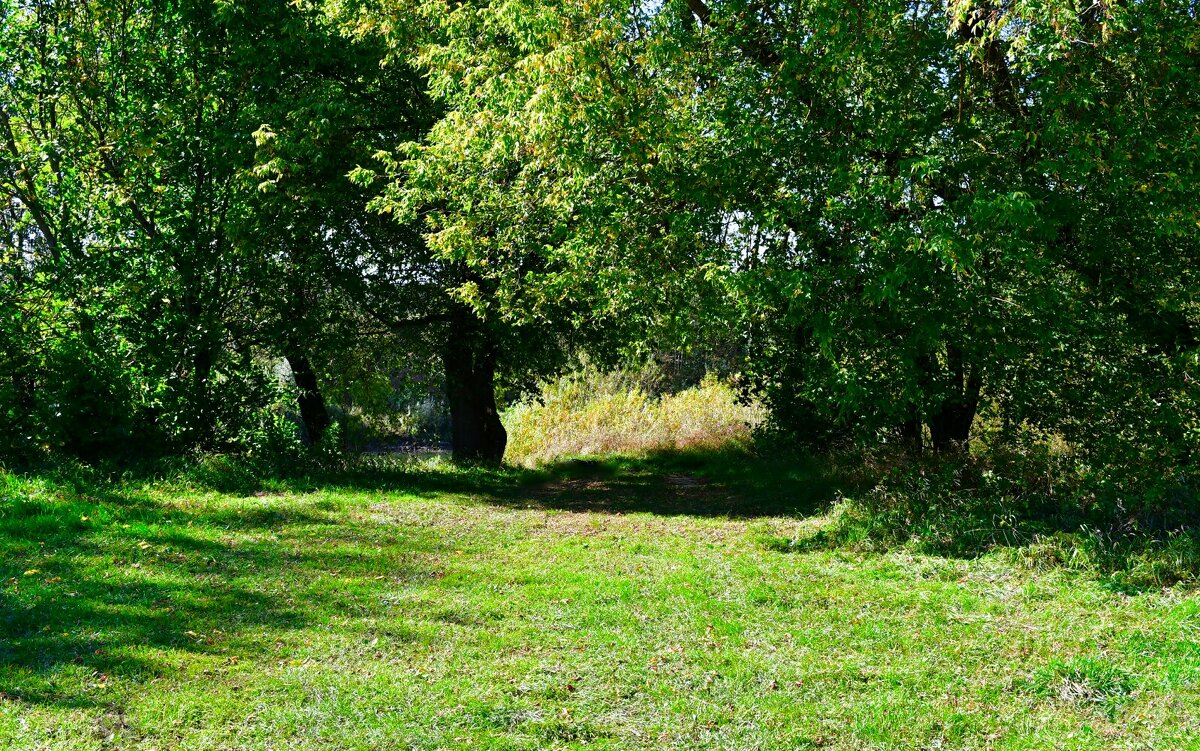 На берег Днепра (репортаж из поездок по области). - Милешкин Владимир Алексеевич 