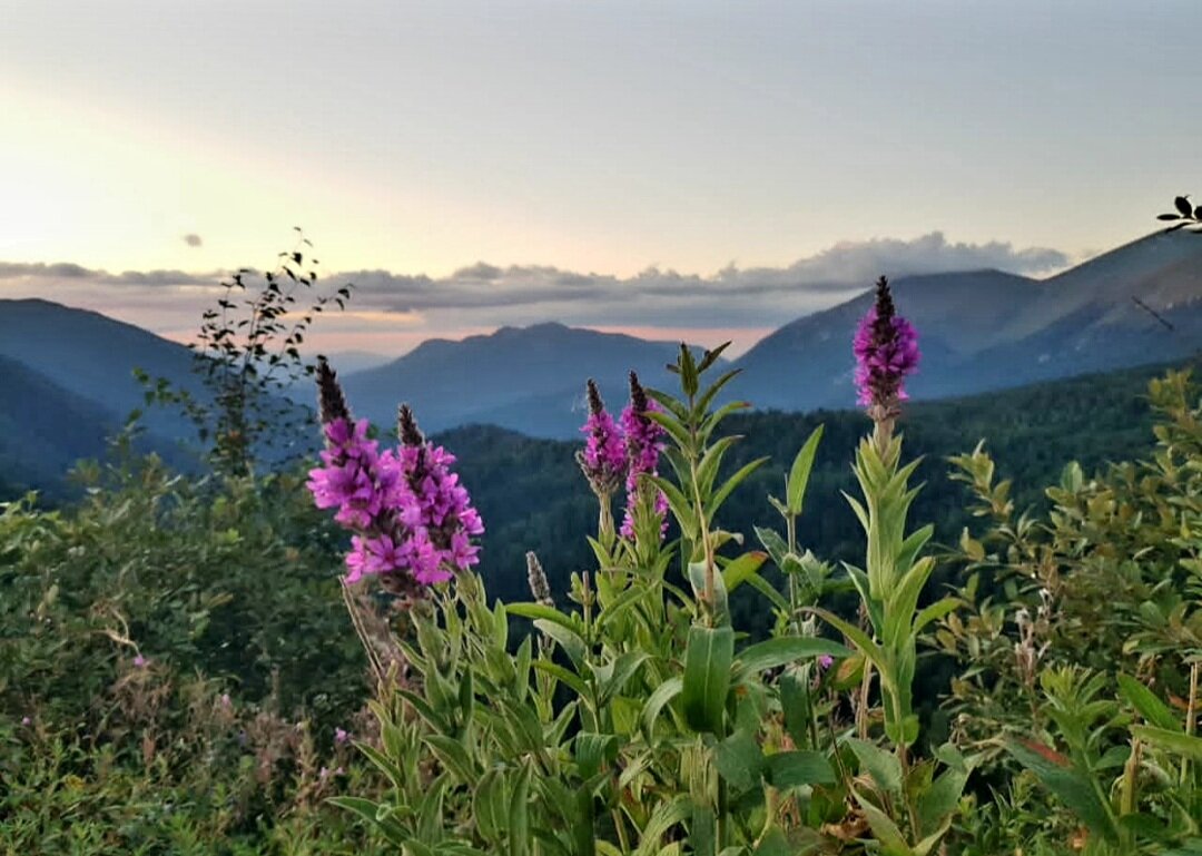 ЗАПАДНЫЙ КАВКАЗ. - Tata Wolf