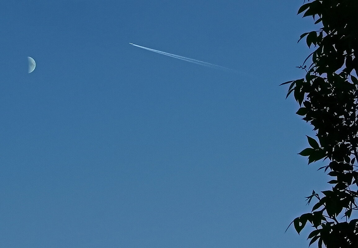 Лётчик - романтик: "Сегодня таки доберусь до Луны!...")) - Игорь Тельцов