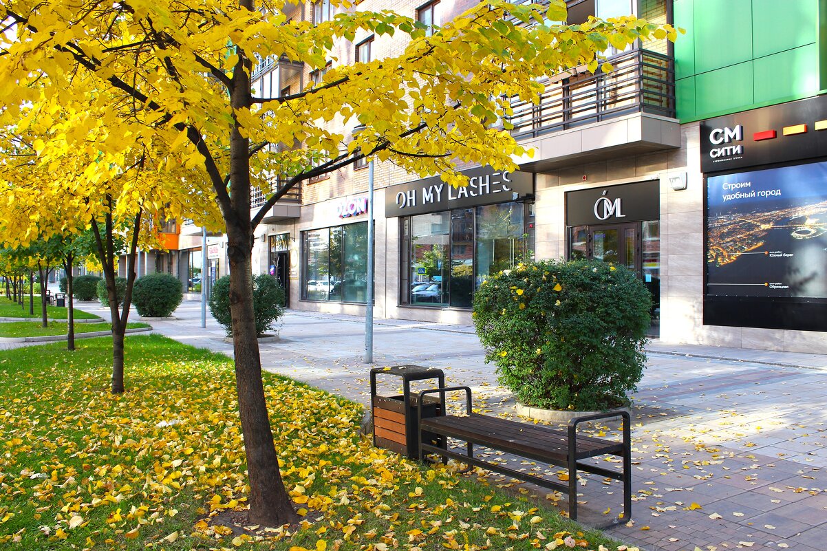 Осенний Красноярск - Василий 