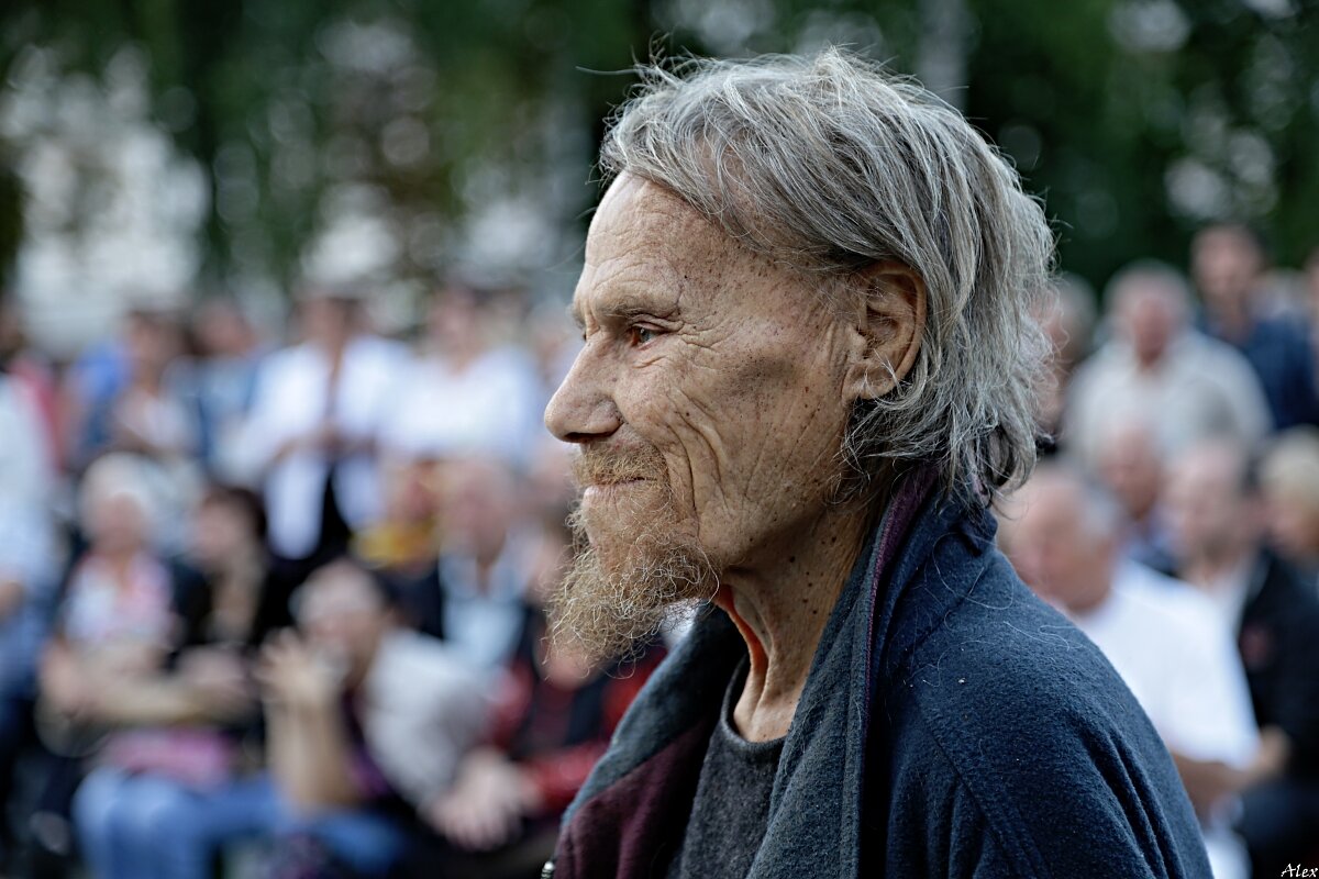 3950 - Alex . 3950 - Alex .