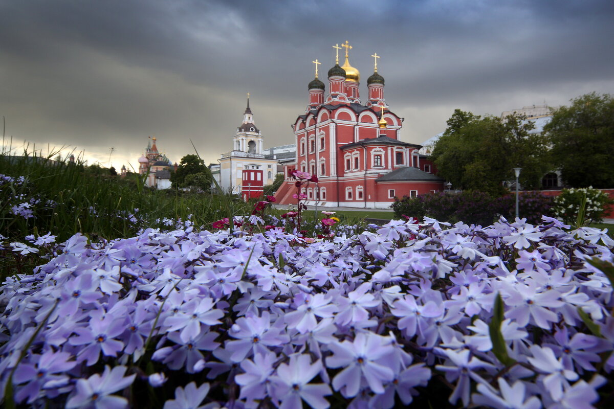 14 мая - Михаил Бибичков 14 мая - Михаил Бибичков