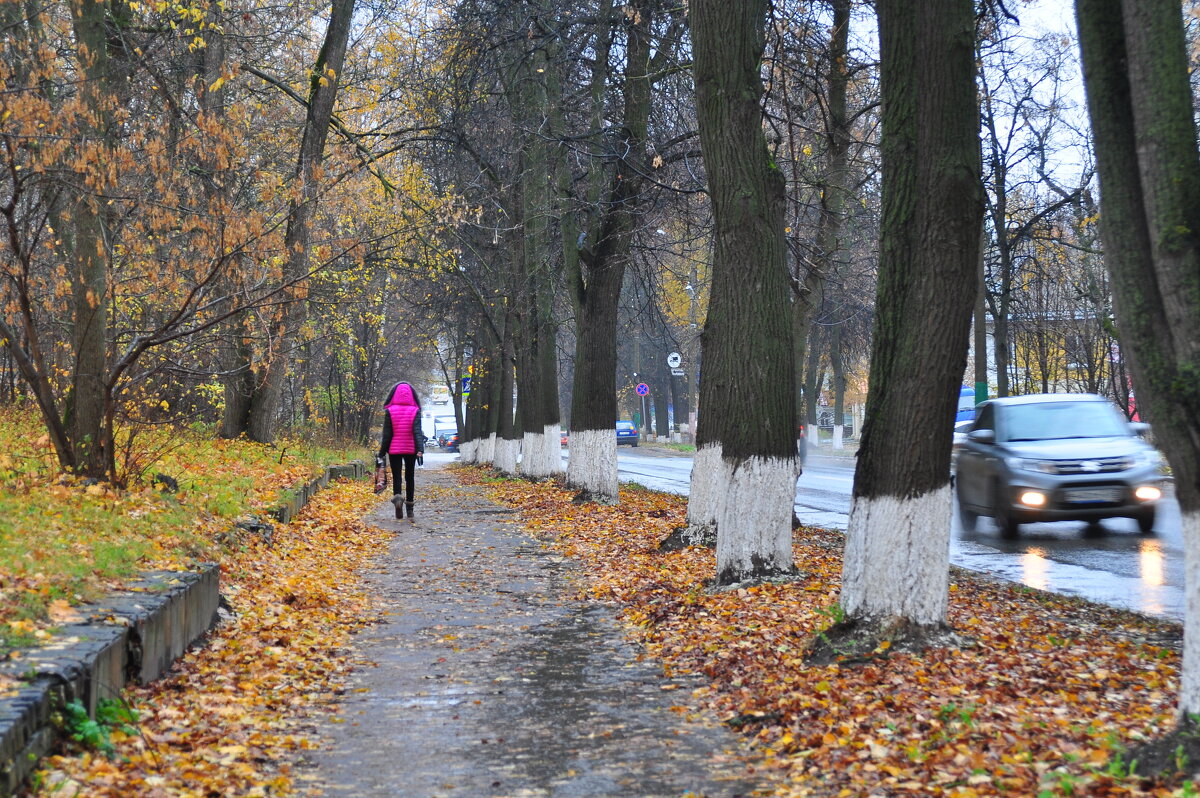 После дождя. - Михаил Колосов 