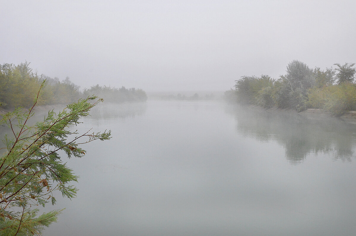 На рыбалке... - Надежда Куркина 