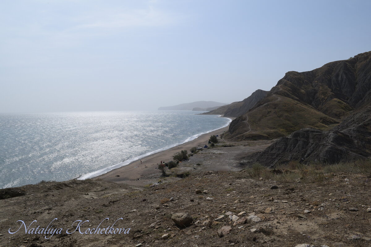 Природа Крыма - Amazing Cosmea