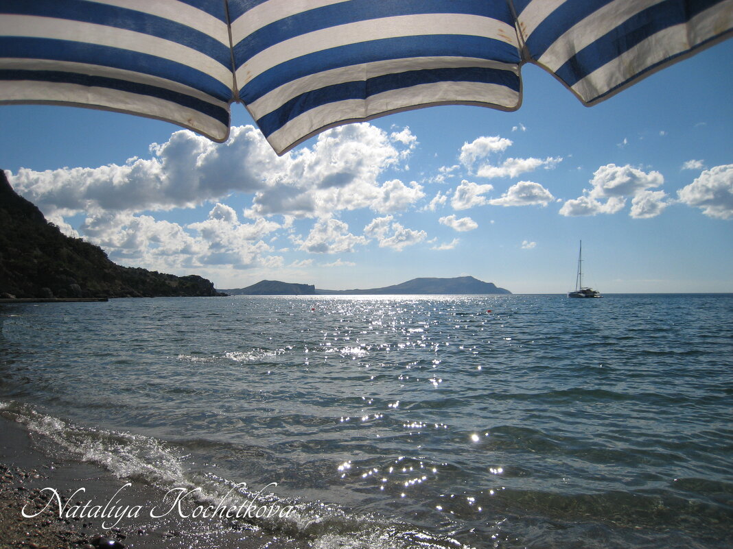 Природа Крыма - Amazing Cosmea