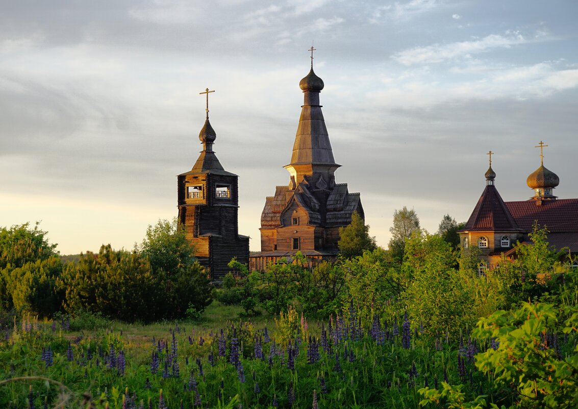 Где-то на краю света... - Ольга Чистякова