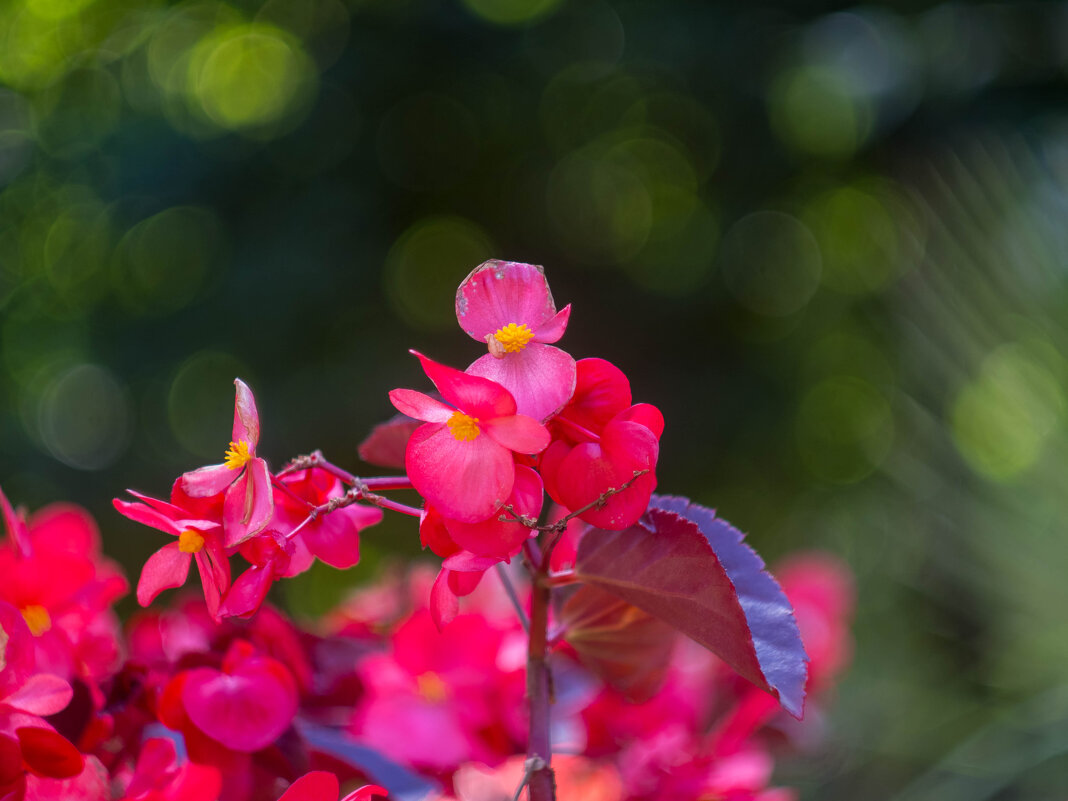 ___ - Yuriy V ___ - Yuriy V