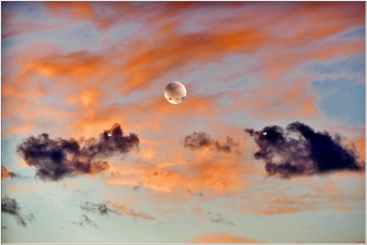 АГРЕССИЯ... - Elvira E. 