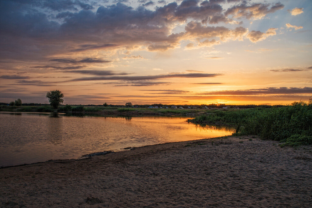 Природа Волго-Ахтубинской поймы. - Дина Евсеева