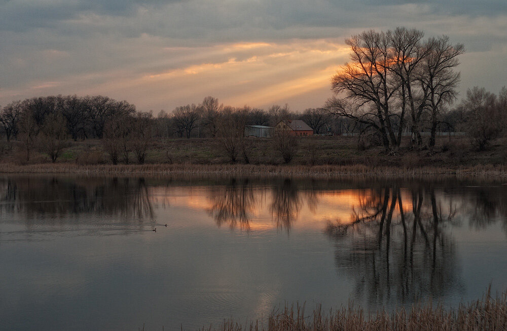 Природный парк Волго-Ахтубинская пойма. - Дина Евсеева