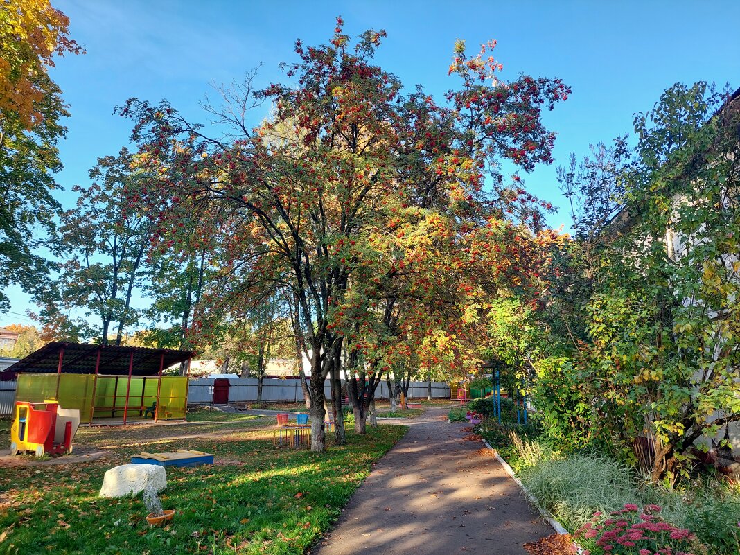 утро - Артём 