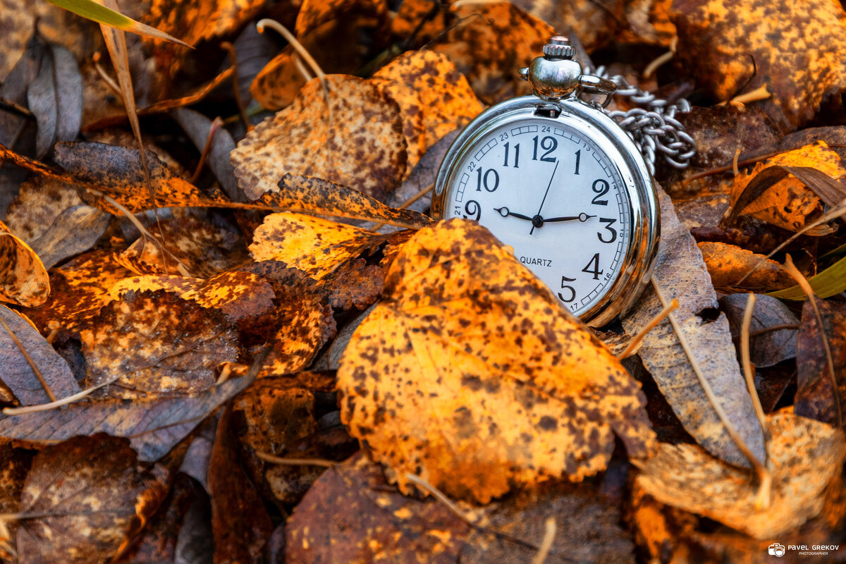 Время осени - Павел Греков