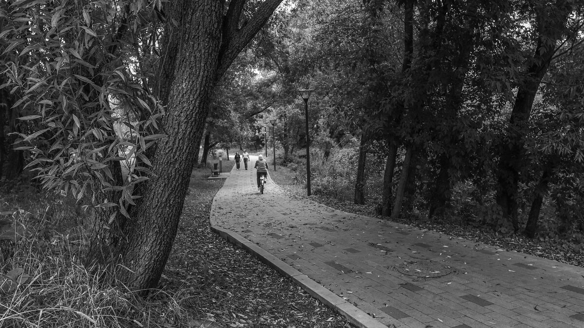 ***** - юрий поляков