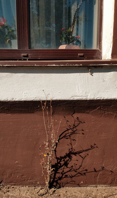 *** - Любовь *** - Любовь