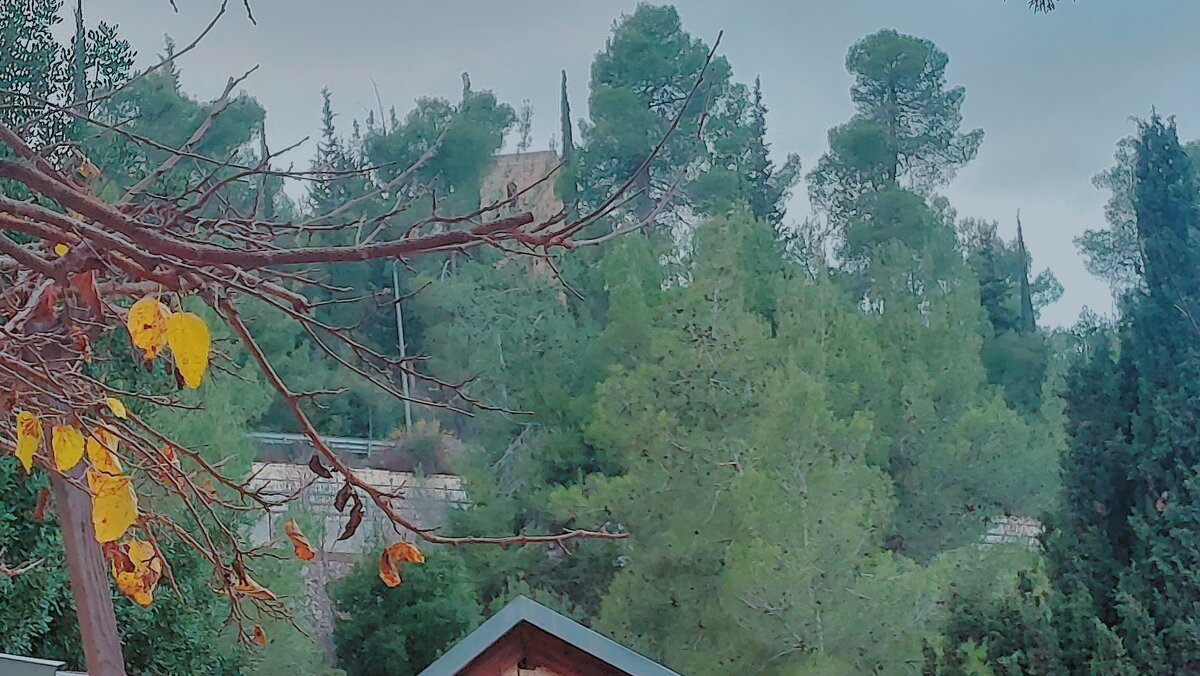 13  ОПЕН (392) - OPEN WAYS ALL