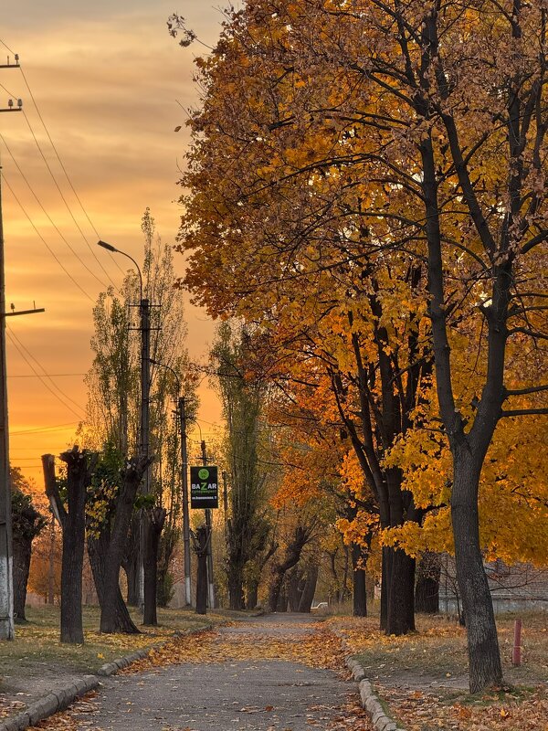 *** - Яна Горбунова