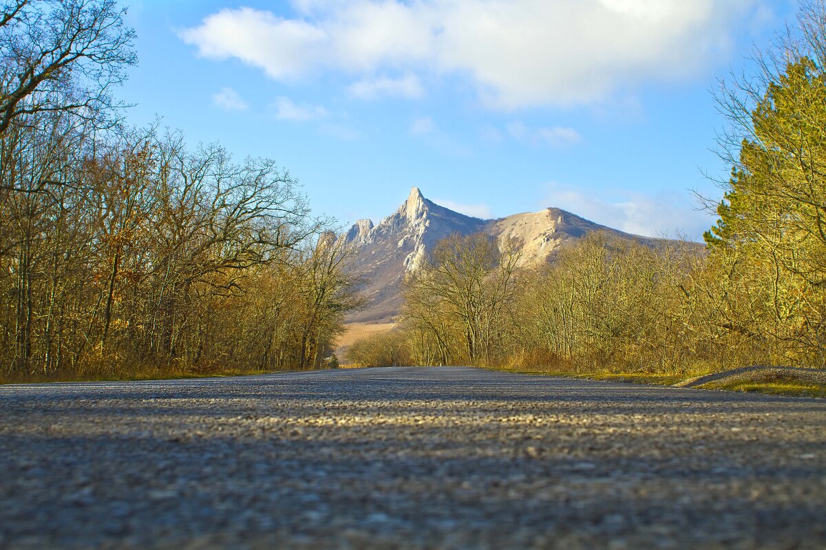 Уж облетели листья.. - Геннадий Валеев Уж облетели листья.. - Геннадий Валеев