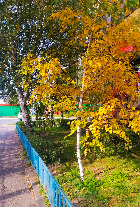 Признаки осени. - юрий Амосов