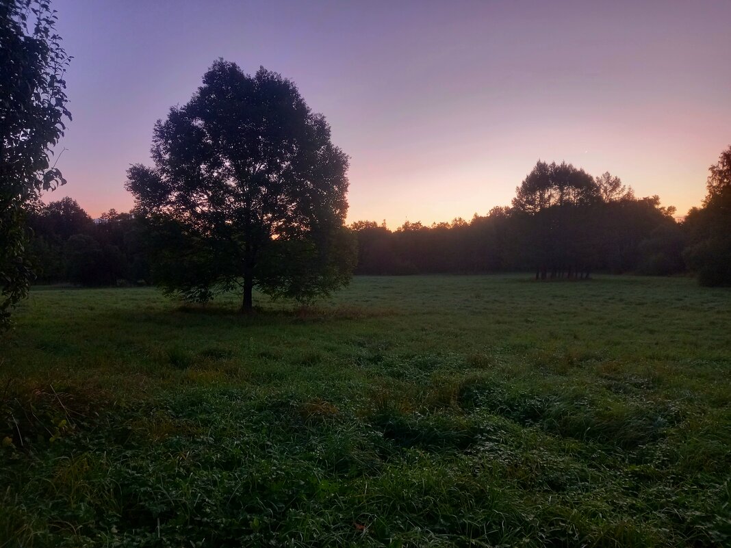 Рассвет - Сапсан 