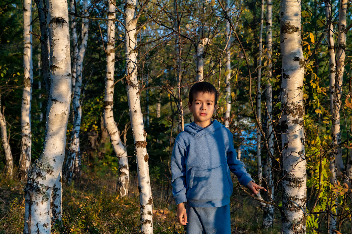 Березы - Владимир VS