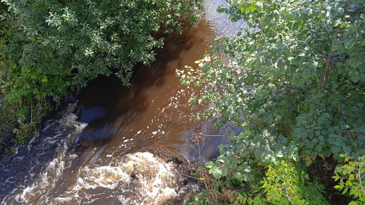 речка Решотка - Елена Шаламова