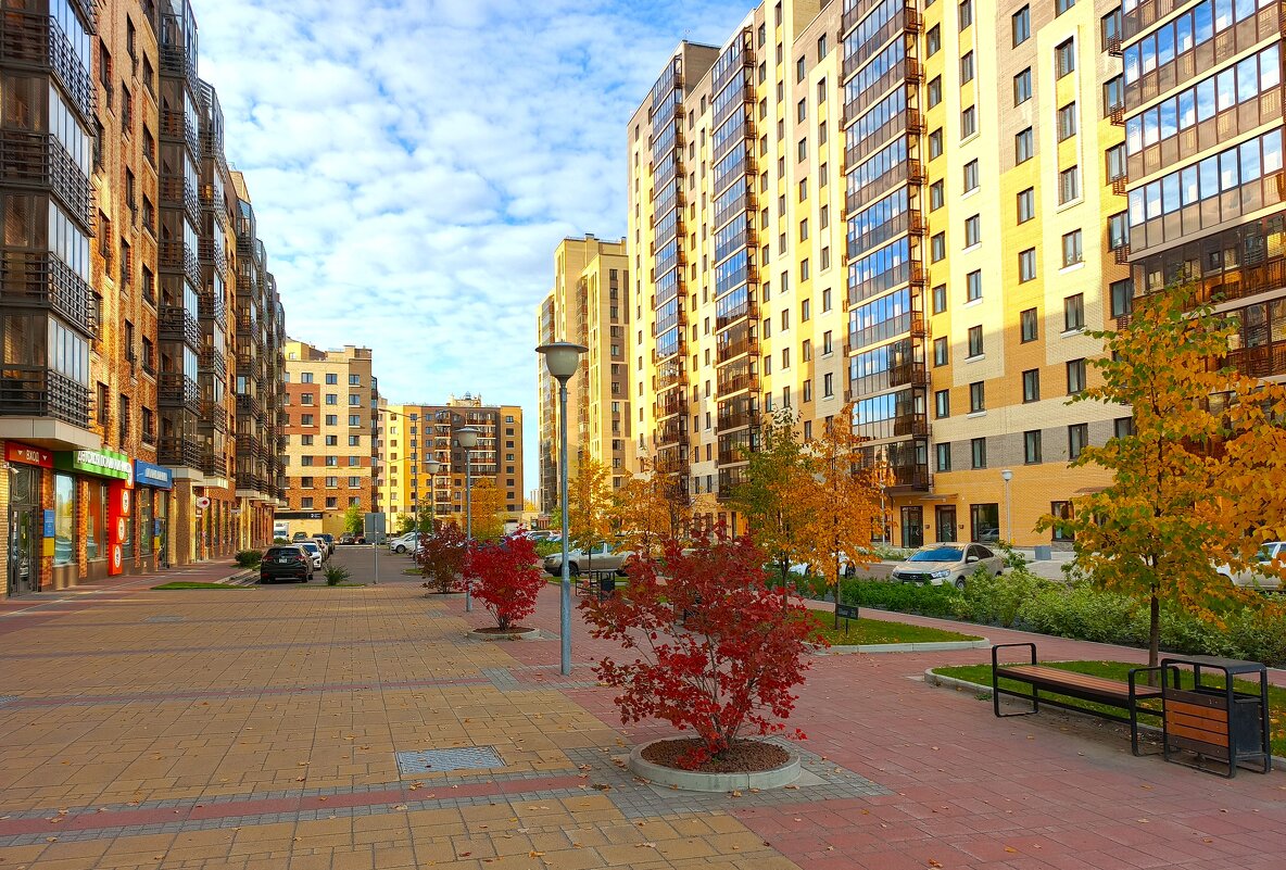 Мой Красноярск - Василий 